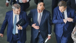 Die Interessen der Gastwelt im Blick