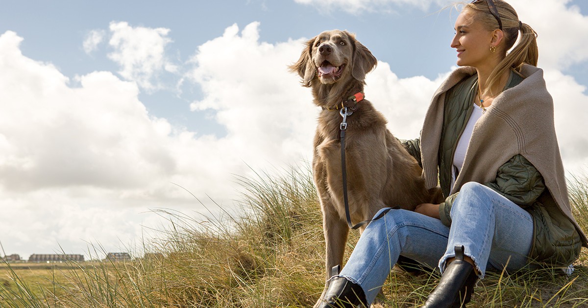 Hundefreundliche Hotels Auf Reisen Mit Fellnase Hogapage Nachrichten