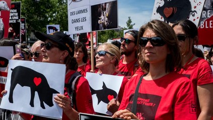 Menschen bei der Demonstration gegen Schlachthäuser