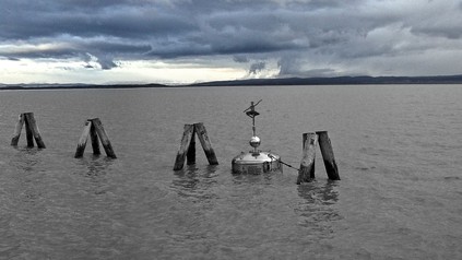 Weinboje von Fabian Sloboda im Neusiedler See