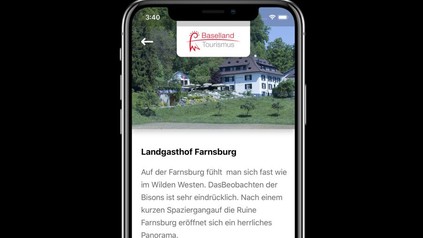 Ein Smartphone auf dem die Seite des Baselland Tourismus geöffnet ist